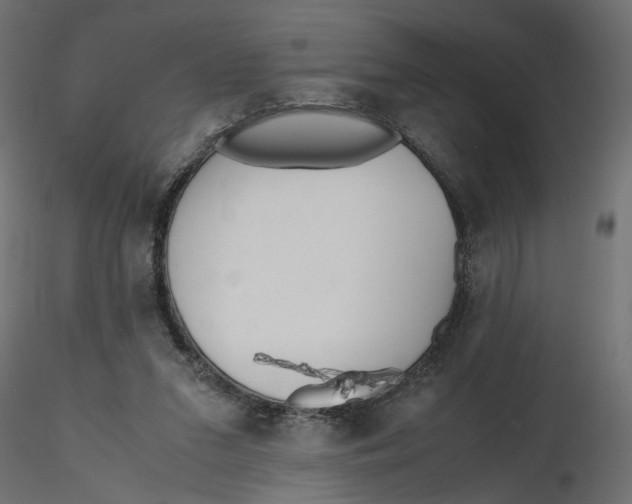 X0000116560207200912311939