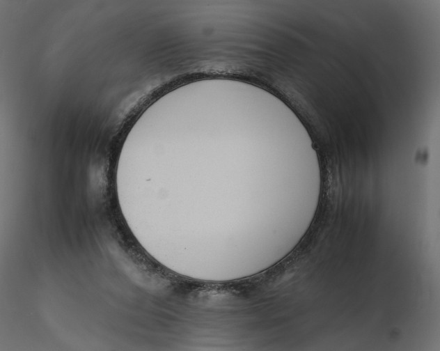 X0000116560208200912311939