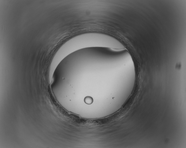 X0000116560209200912311939