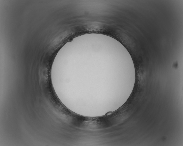 X0000116560211200912311939