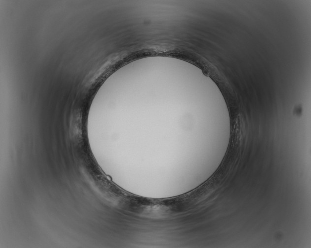 X0000116560212200912311939