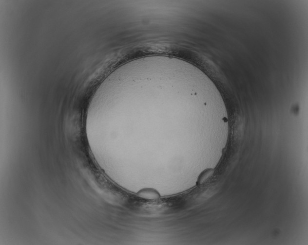 X0000116560213200912311939