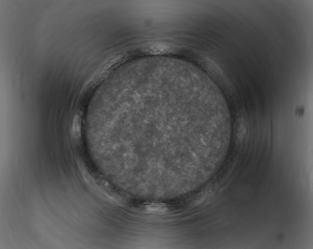 X0000116560214200912311939