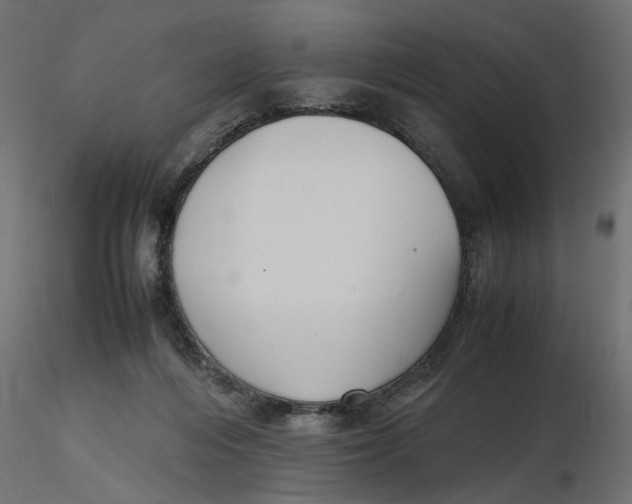 X0000116560216200912311939