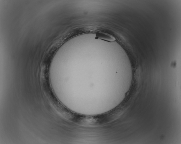 X0000116560217200912311939