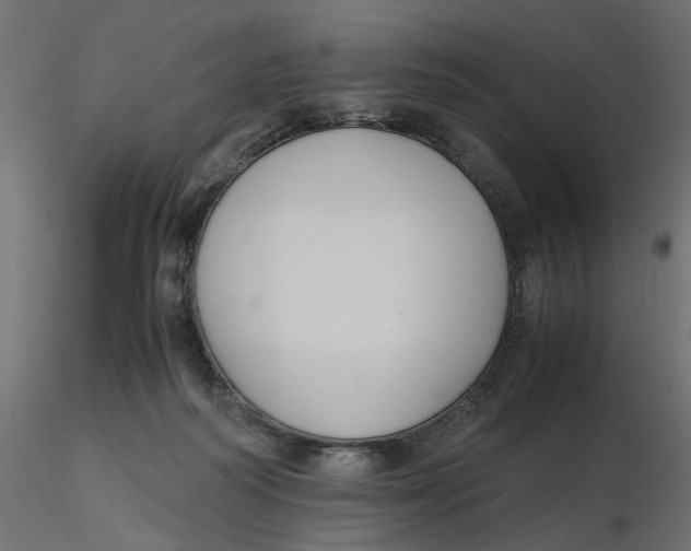 X0000116560218200912311939