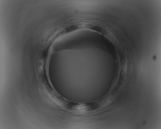 X0000116560219200912311939