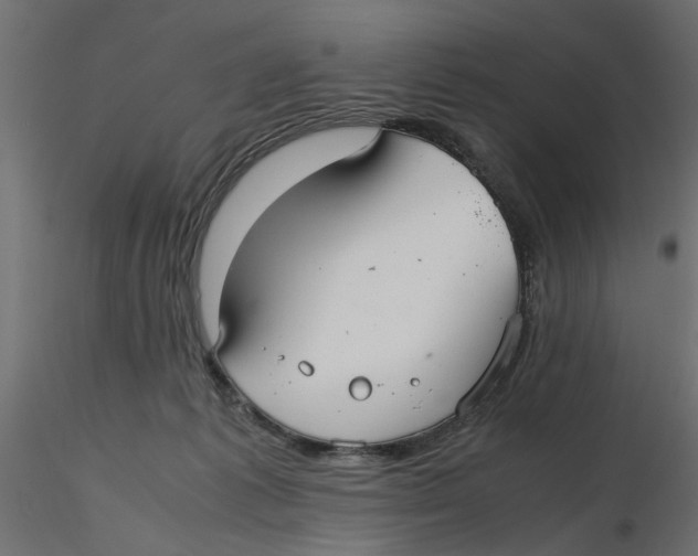 X0000116560221200912311939