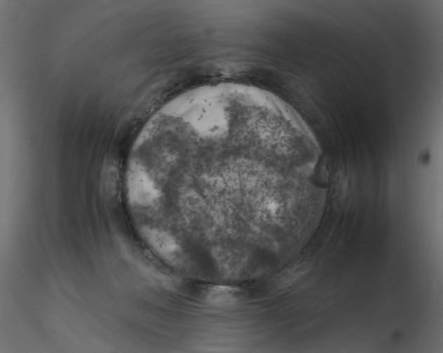 X0000116560222200912311939