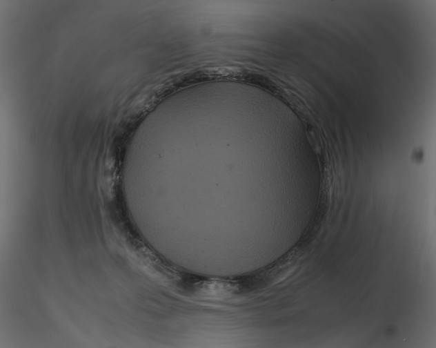 X0000116560223200912311939