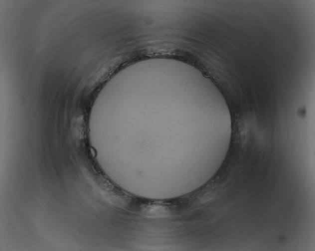 X0000116560224200912311939