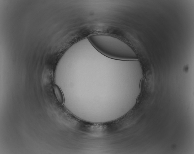 X0000116560225200912311939