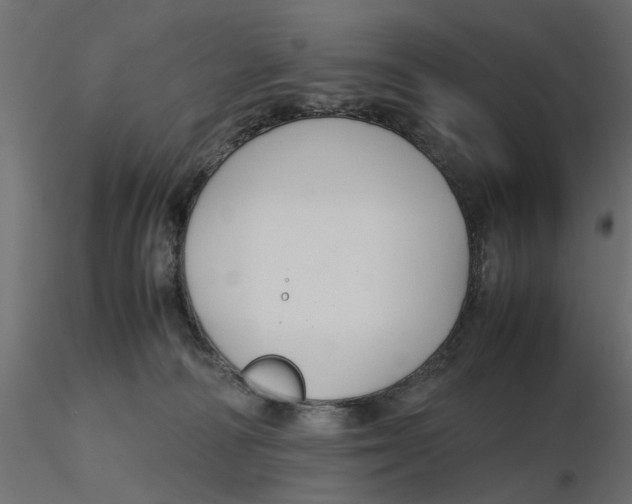 X0000116560226200912311939