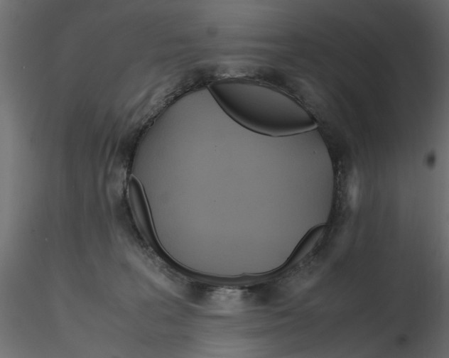 X0000116560227200912311939