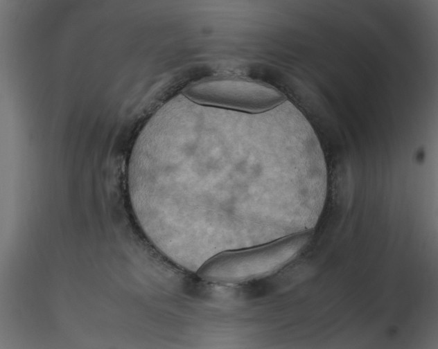 X0000116560229200912311939