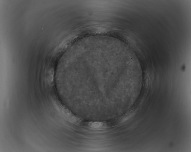 X0000116560230200912311939