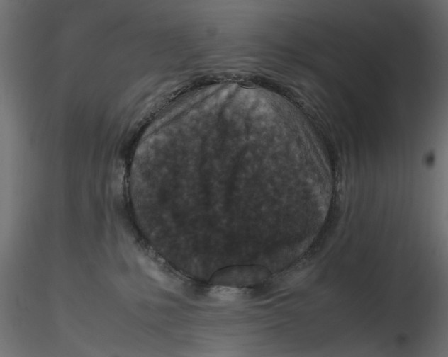 X0000116560231200912311939