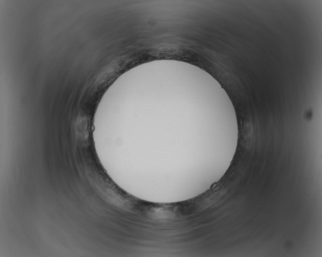 X0000116560232200912311939