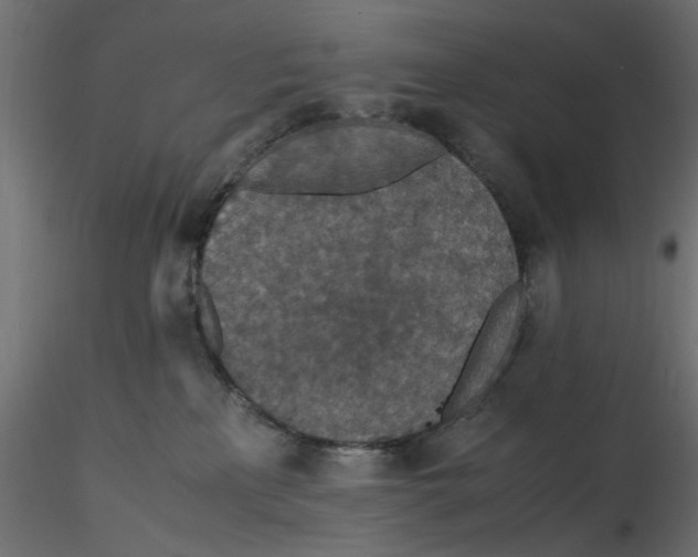 X0000116560233200912311939