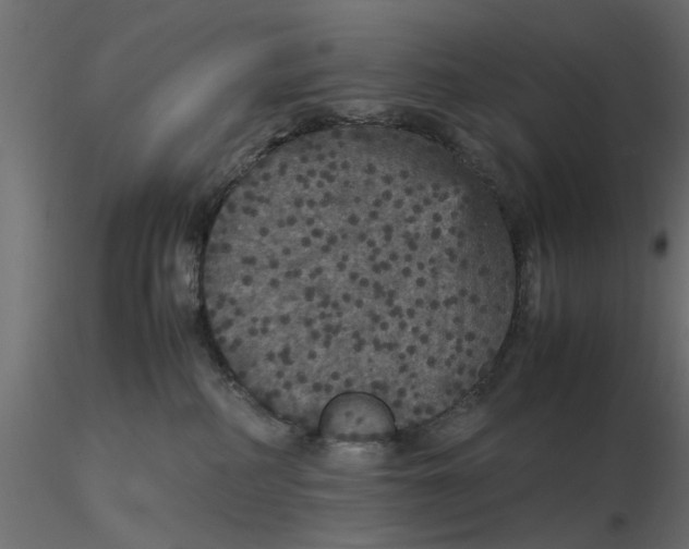 X0000116560234200912311939