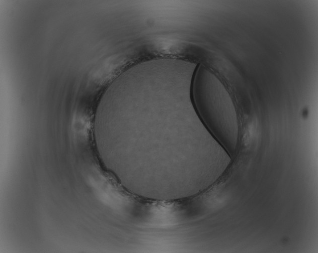 X0000116560235200912311939