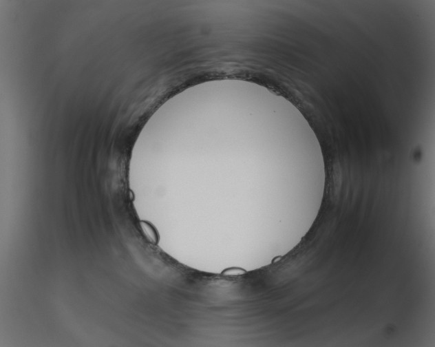 X0000116560236200912311939