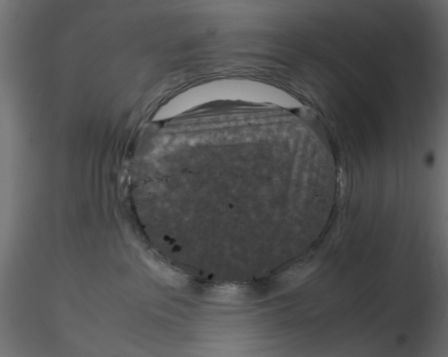 X0000116560237200912311939