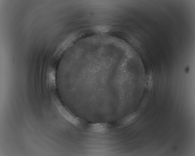 X0000116560238200912311939