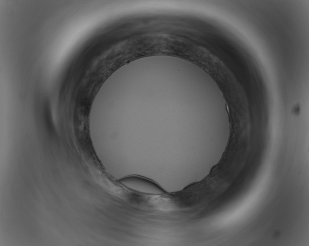 X0000116560239200912311939