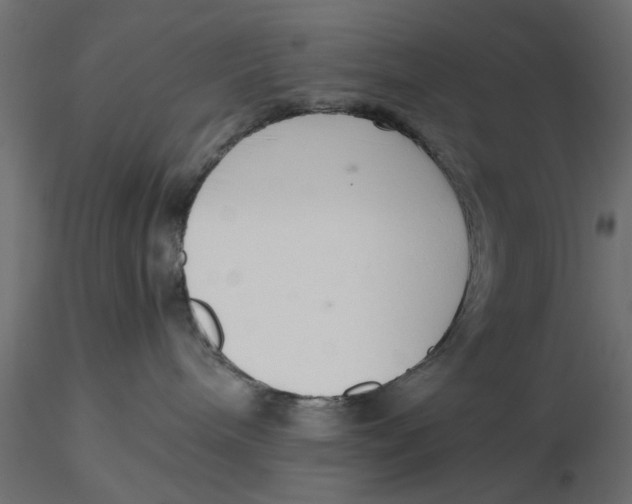 X0000116560240200912311939