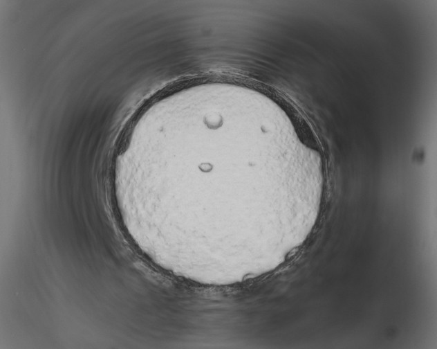 X0000116560241200912311938