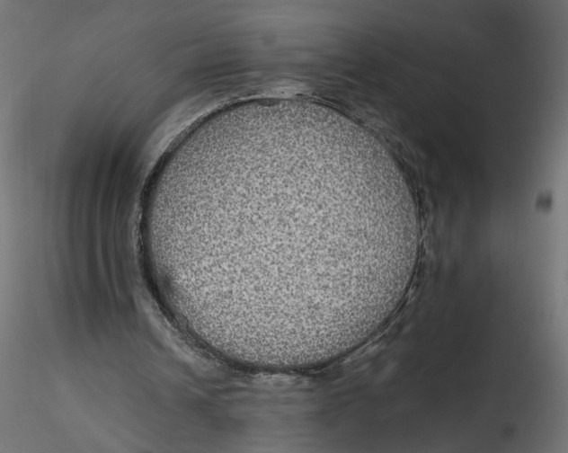 X0000116560242200912311938