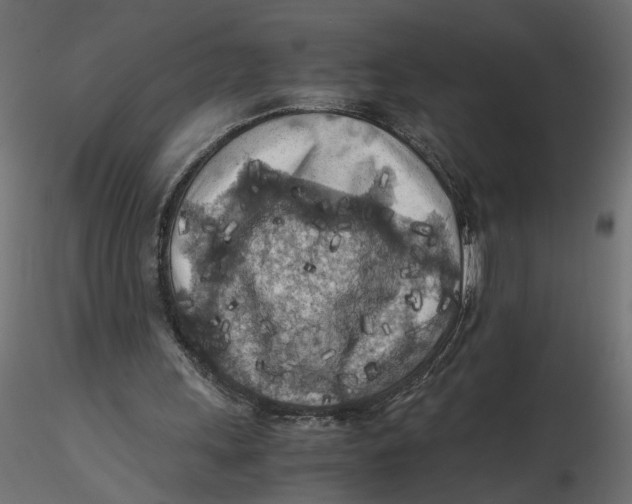 X0000116560243200912311938