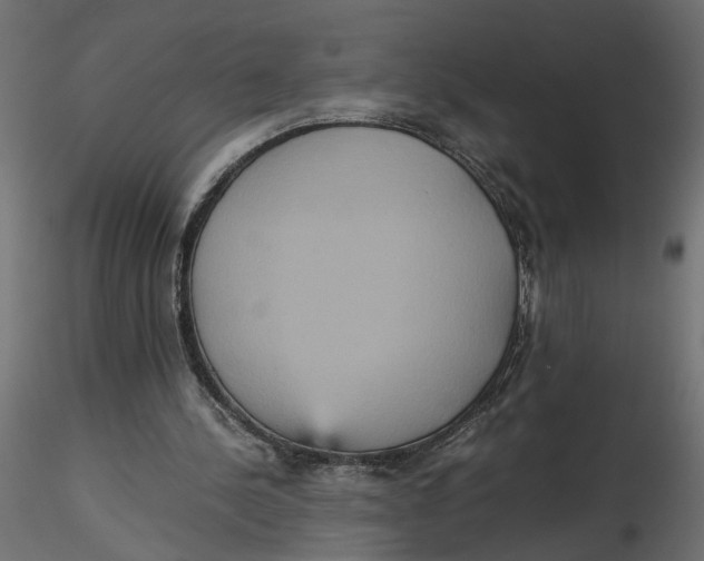 X0000116560244200912311938