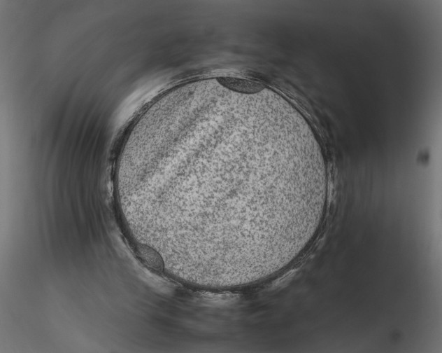 X0000116560245200912311938