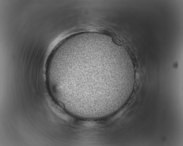 X0000116560246200912311938