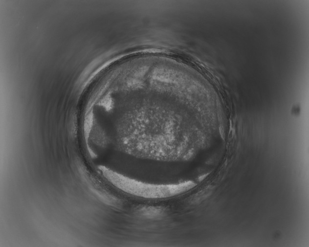 X0000116560247200912311938