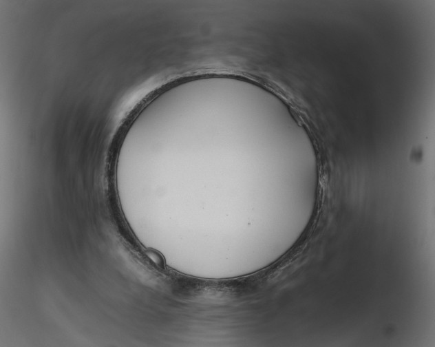 X0000116560248200912311938