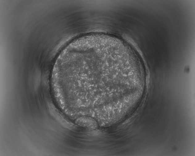 X0000116560249200912311938