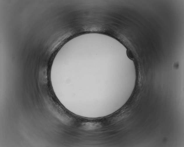 X0000116560251200912311938