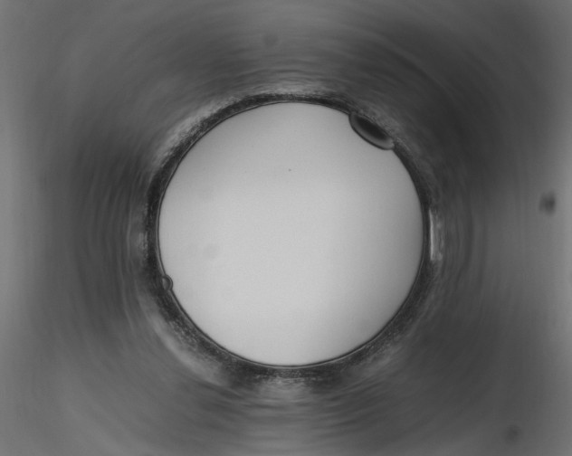 X0000116560252200912311938