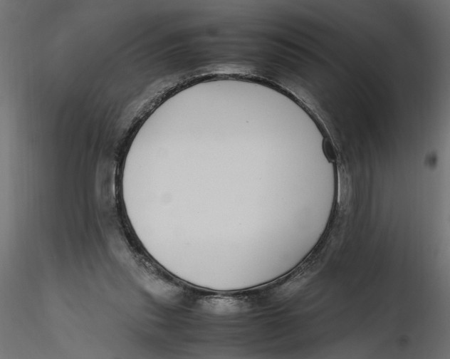 X0000116560253200912311938