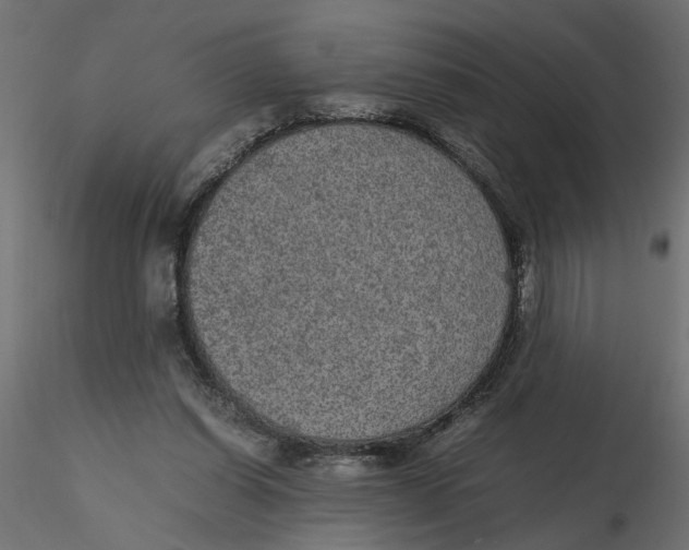 X0000116560254200912311938