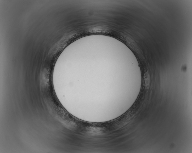 X0000116560255200912311938