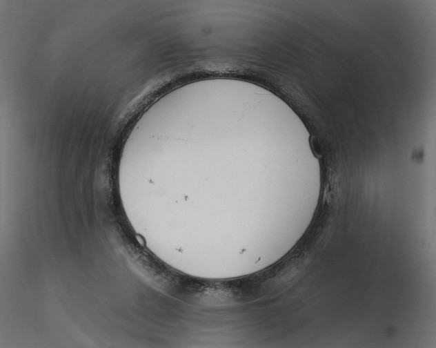 X0000116560256200912311938