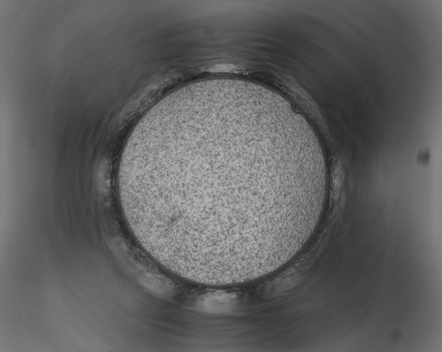 X0000116560257200912311938