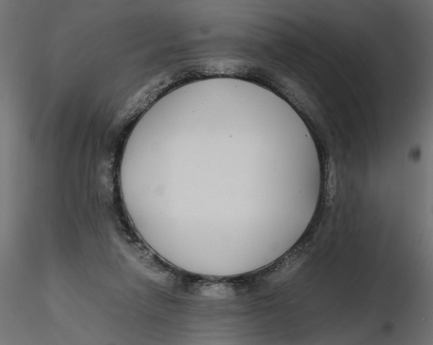 X0000116560258200912311938