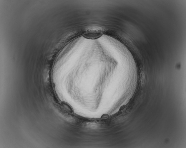 X0000116560259200912311938