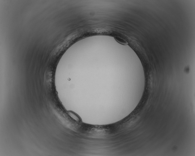 X0000116560260200912311938