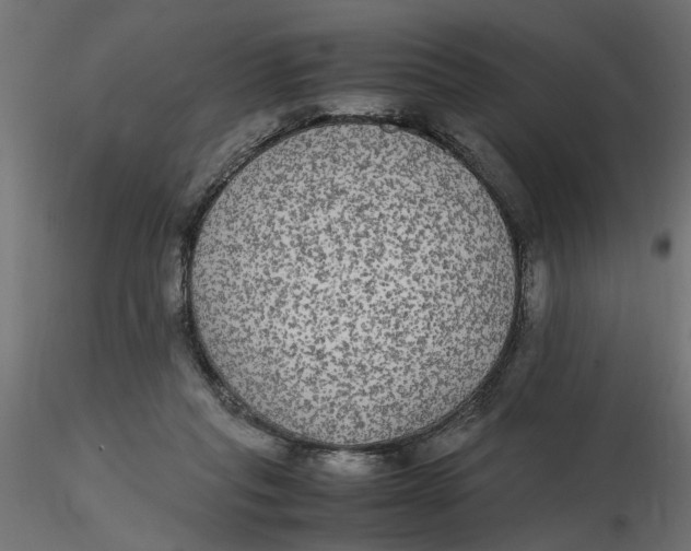 X0000116560261200912311938